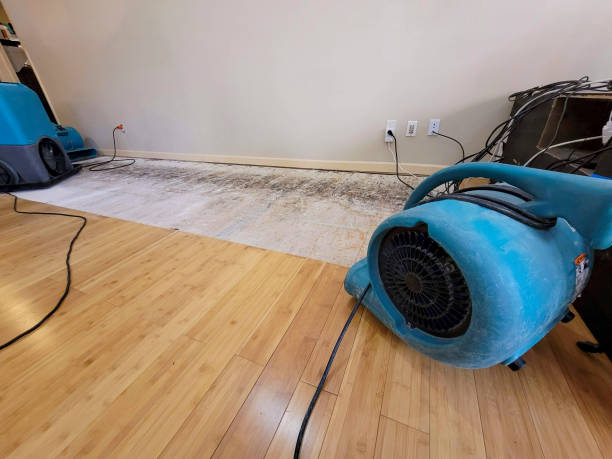 Professional Emergency Water Damage technician working in Monteagle, TN